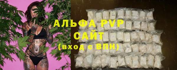 apvp Алзамай
