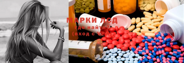 apvp Алзамай